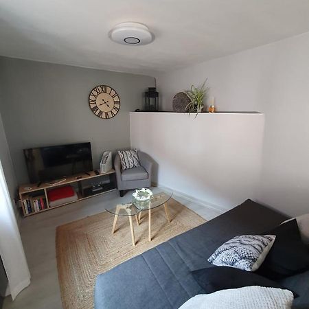 Le Petit Fleck Apartment Haguenau Exterior photo