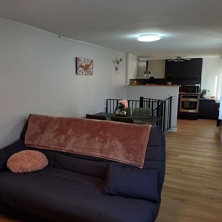 Le Petit Fleck Apartment Haguenau Exterior photo